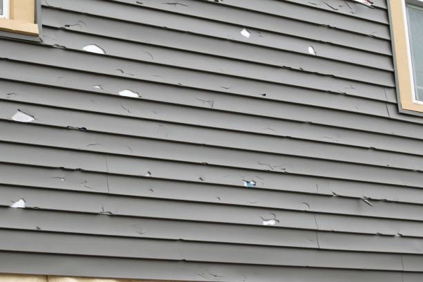 Best Insulated Siding Installation  in Blanding, UT