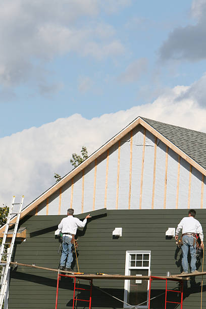 Best Stone Veneer Siding  in Blanding, UT