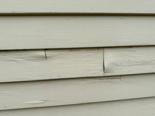 Best Siding Repair  in Blanding, UT